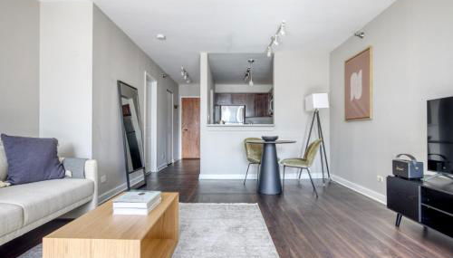 Streeterville Studio w Pool Gym nr Park CHI-581 - Foto 3, Other