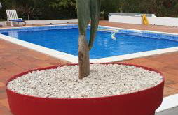 Sondela Self Catering - Foto 80