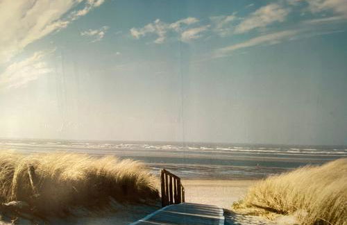 Fuchs und Elster - Foto 11