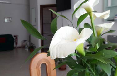 Il Girasole - Photo 9