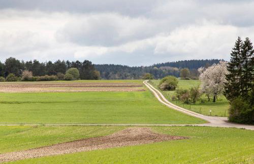 Hüssli Numero 1 - Photo 33