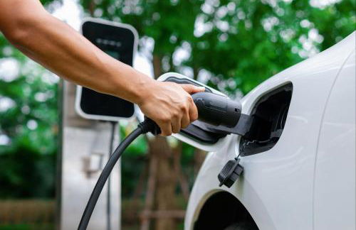 Calamar Flats Paraty - Foto 83