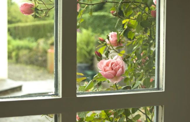 Parc-yr-Hebog - Photo 17