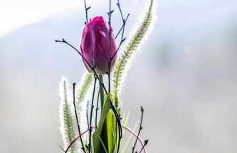 Ferienhaus Eifelurlaub - Foto 28