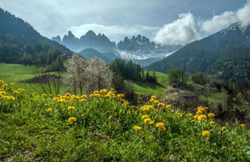 Jaiterhof - Photo 45