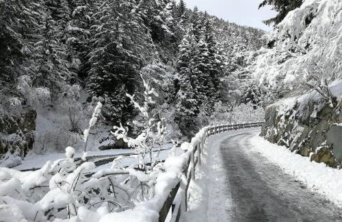 Appartamento Fiordalpe - Foto 48