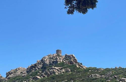 Tizzano, villa vue mer avec piscine - Foto 26