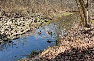 Vintage Shasta Camper for the best of NYC Glamping - Foto 16