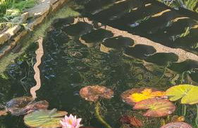 Tana della Lavanda - Photo 57