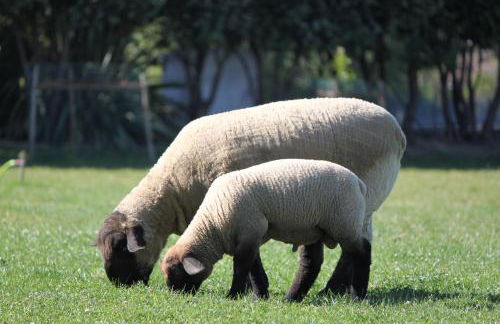 Casa dos meus avós -Villas - Gaia & Porto - Foto 55