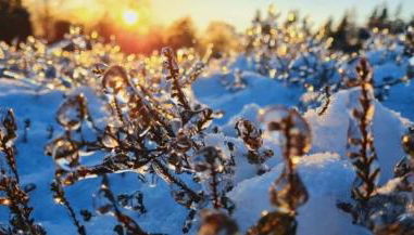 Ferienwohnung Heide View - Foto 3