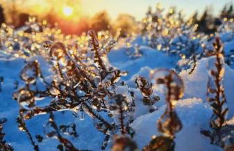 Ferienwohnung Heide View - Foto 3