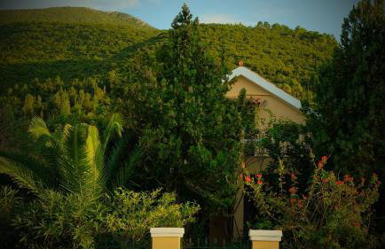 Anassa Boutique Beach House - Photo 25