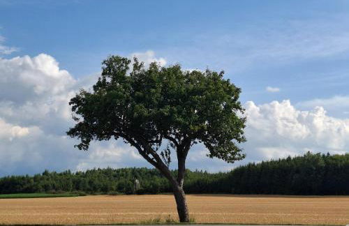 Apartment Chalet am Schloss Kaltenberg nahe Ammersee - Foto 17