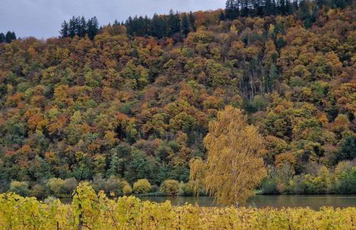 Ferienwohnungen am Moselbeach - Foto 11