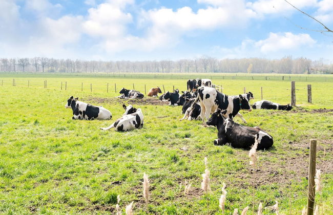 Peaceful Family Home in Elim - Foto 43