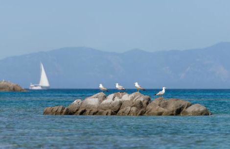 Nuovo Suites-Central Stay With Private Parking - Foto 25