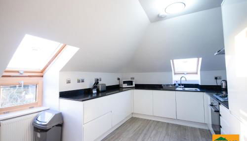 Holden Court Apartments - Apt 6 - Foto 4, stove, toaster