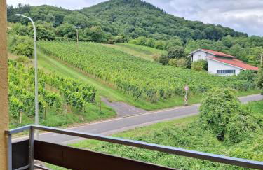 WEINBERGBLICK Wohnung im Haus FREY - 2BR ,Küche, 2 Bäder, 2 Balkone, Parkplatz direkt vor der Tür - Foto 9