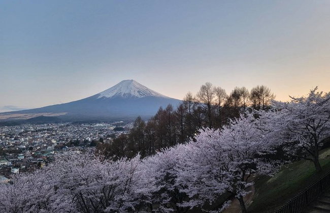 Tour privato in auto al Monte Fuji da Tokyo - Foto 13