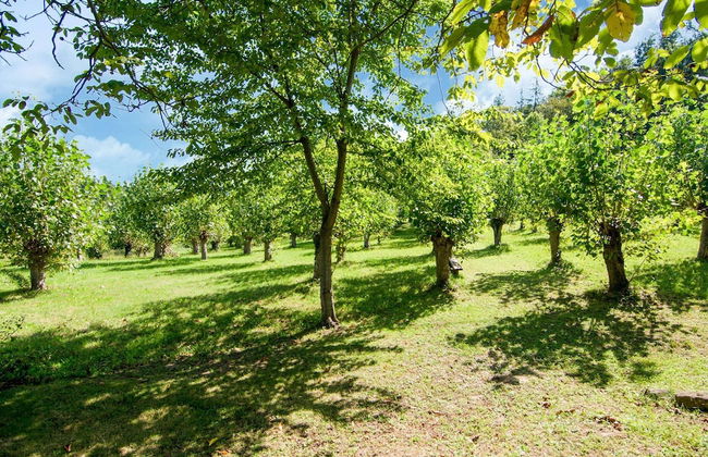 Belvilla by OYO Fattoria 19 - Foto 67