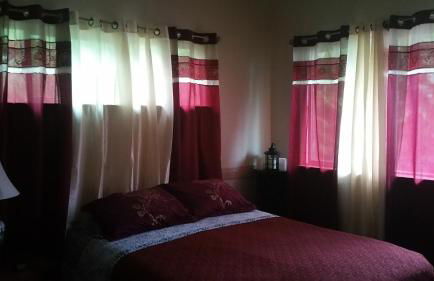 Oceanfront Cottage Near the Kalapana Lava Flows - Foto 11