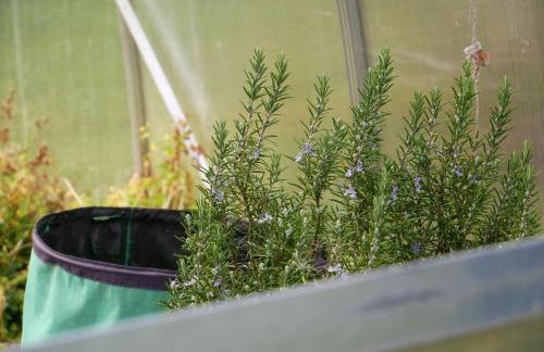 Ferienwohnung Obere Alm - Photo 15