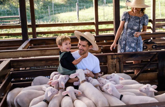 Tour dei Caminhos de Pedra - Foto 8
