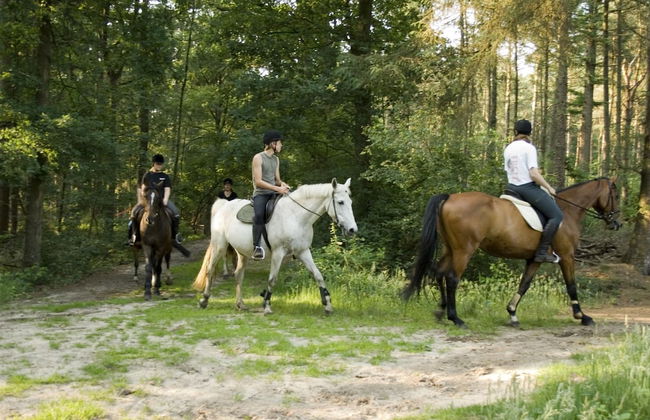 Cozy Holiday Home with Dishwasher near Zwolle - Foto 18