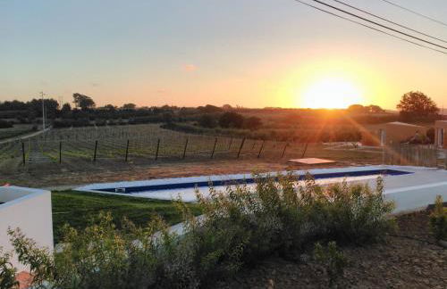 Entre Vinhas & Mar - Foto 127