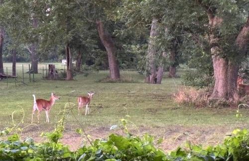 Countryside Bliss - Entire Home on 2 Acres - Foto 27