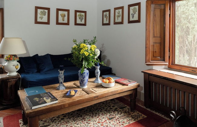 Terre di Baccio - Foto 51