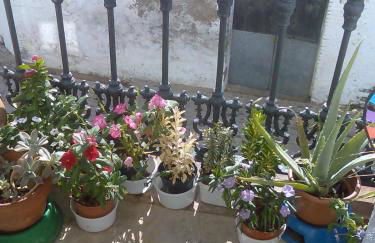 Apartamento Casa Tita Aguafría - Foto 10