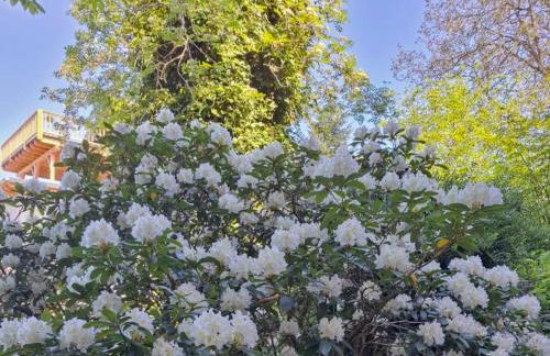 Bernhardsberg - Foto 42