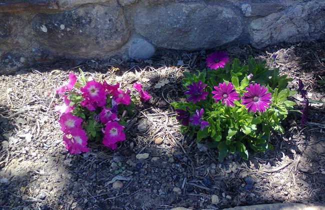 Agriturismo San Pietro - Photo 48