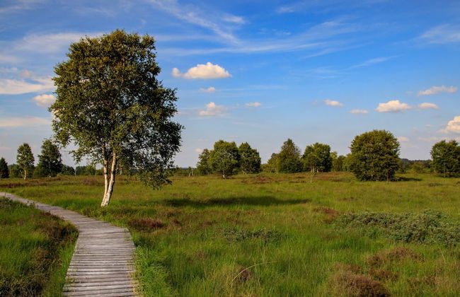 Ovifat Sauna Escape, Waimes - Photo 48