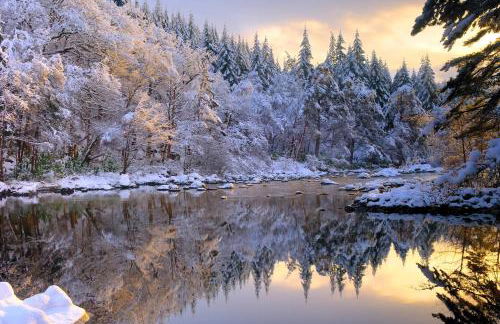 The Bridge Suite - Photo 31