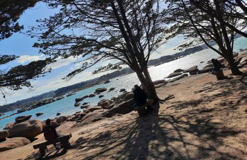 appartement vue mer 50m de la plage, WIFI gratuit - Foto 37