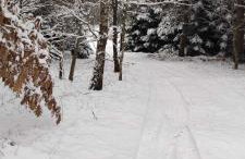 Dom na Kresach Grzybowszczyzna - Photo 23