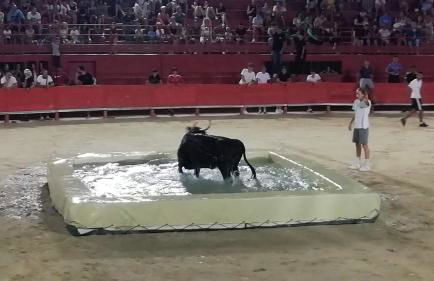 Janislove34 Maison 1 Chambre avec accès piscine dans résidence à Palavas les flots - Foto 33