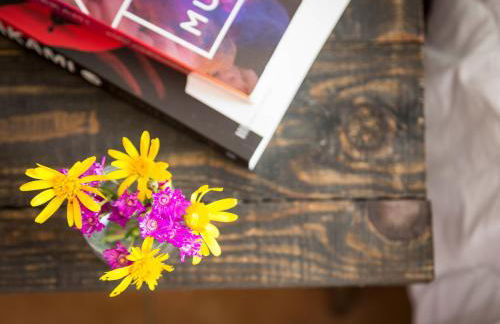 Quinta Camarena - Foto 51