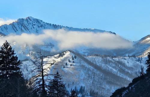 Stunning at Solitude, Steps from Chair Lift, East #103 - Foto 31