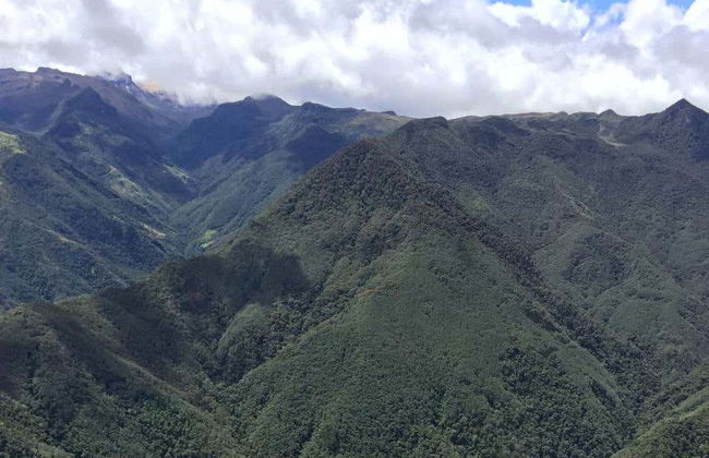 Cerro Morrogacho Reserve Tour - Photo 2