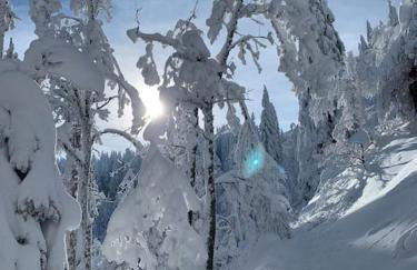 Stube9 am Feldberg, direkt an der Skipiste, Ski in-Ski out - Photo 57