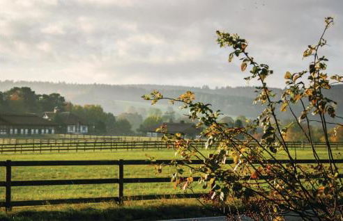 Pet Friendly Home In Oberaula-Hausen - Foto 18