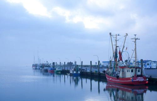 Tede Warft Freistehend am Deich mit Sauna - Foto 39