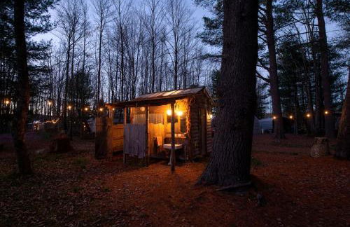 Gorgeous Fully Restored Caravan Nestled in the Trees Along Silver Lake for a Unique Vacation in Woodridge, New York - Foto 25