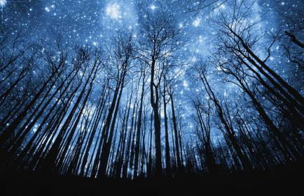 Casa Rural Finca Paraíso. Heated pool - Foto 37