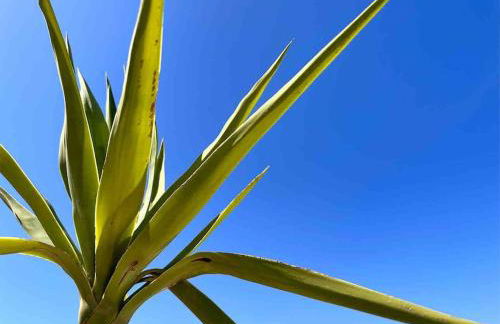 Villa Xanthippe - Foto 28