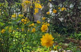 Apartament Cedro del Libano - Photo 14